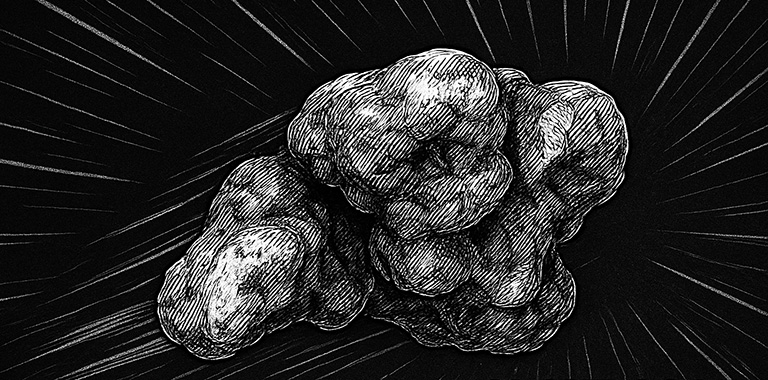 Magic truffles - Information