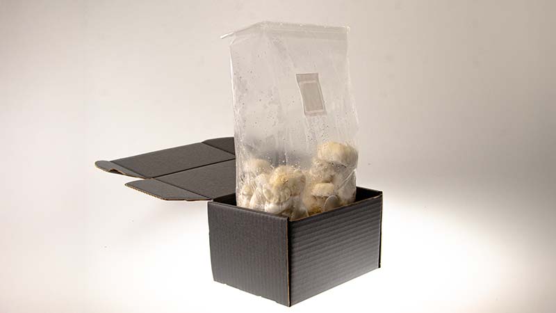 Ready-to-grow Bags Ready-to-grow Bags