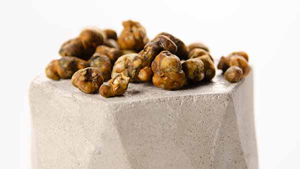 Microdosing Microdosing