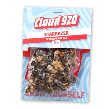 Cloud920 Stargazer magic truffles Cloud920 Stargazer magic truffles