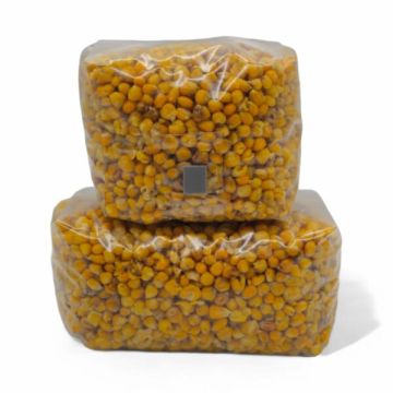 Sterile Corn Spawn Bag