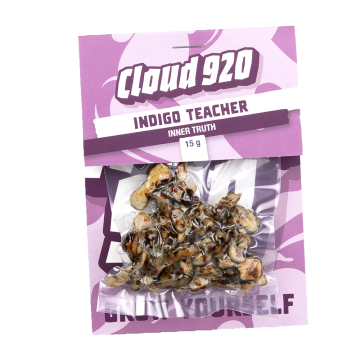 Indigo Teacher 15g