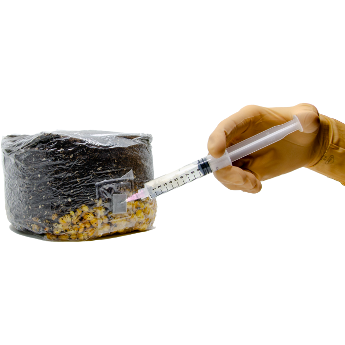 All-in-one Mushroom Grow Bag