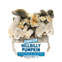 Hillbilly Pumpkin