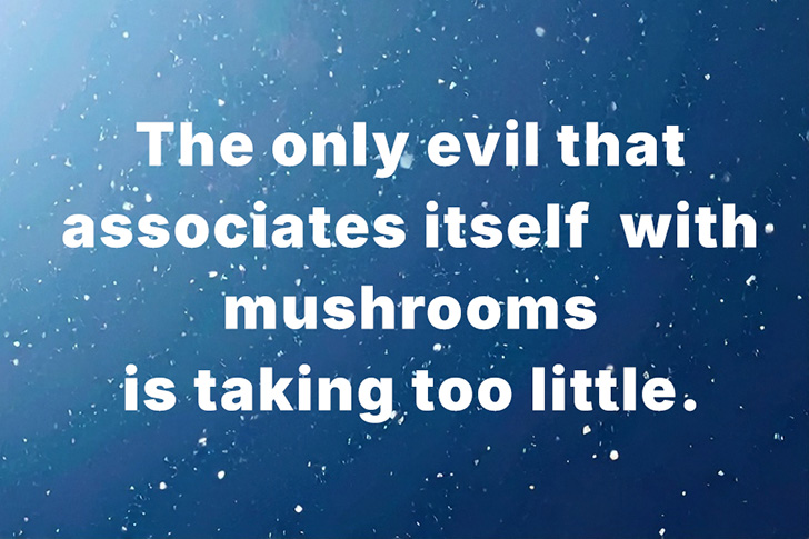 The only evil that associates itself with mushrooms is taking too little.